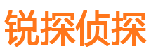 坡头寻人公司